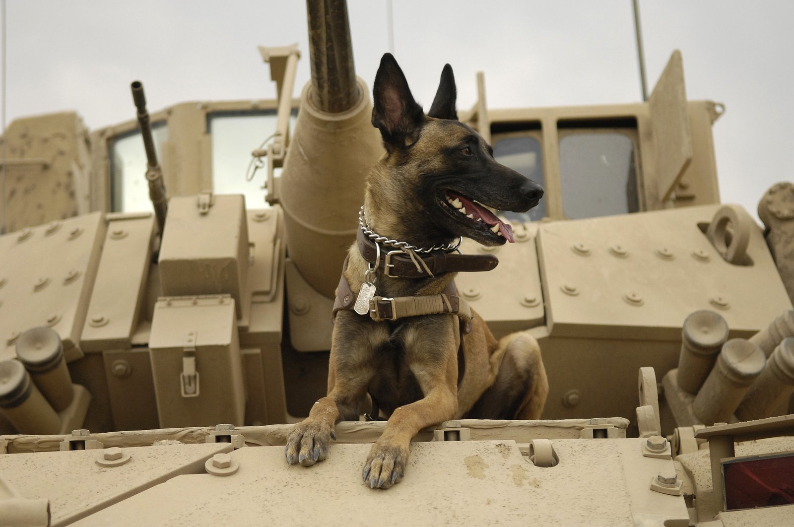 Another Army Startup