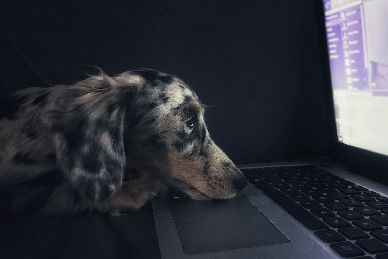 PHP2Shell: What an AI-Found Flaw Means for Your Website