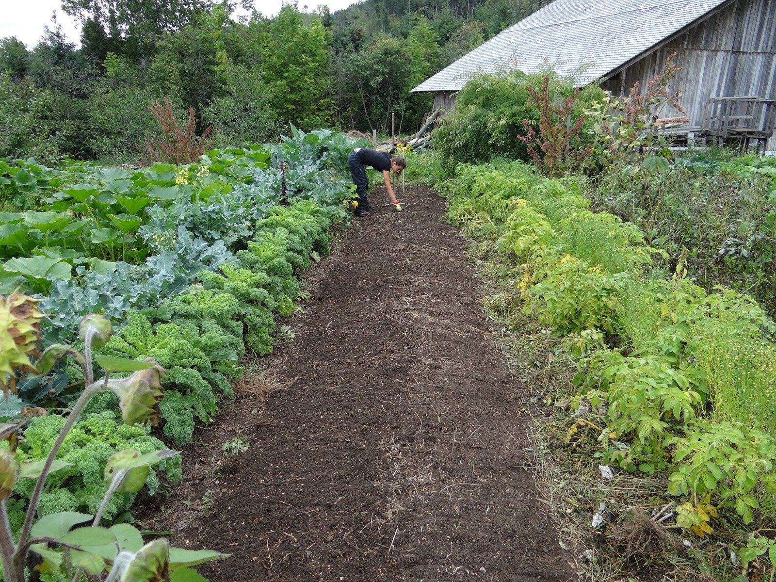 Grow Your Own Startup