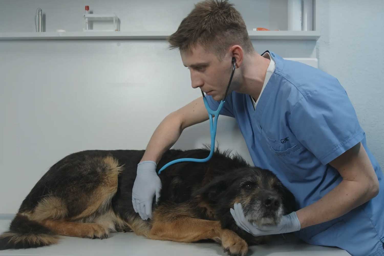 AI Stethoscope Startup