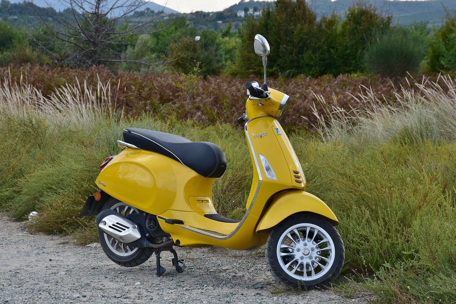 Bike rental Startup