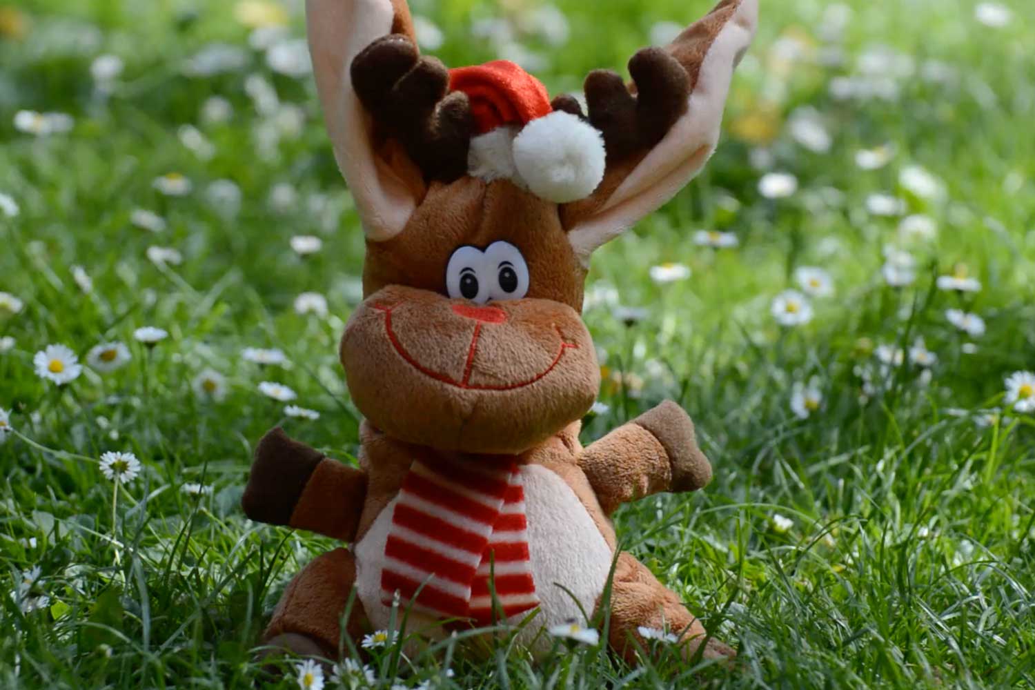 Sustainable Toy Startup